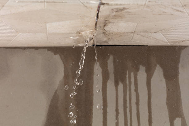 Professional Water Damage Inspection technician working in Nobleton, FL